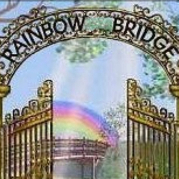 Meet Your Seller - Picture 5 of 5